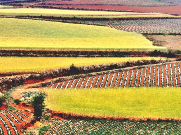 6月土地市场高溢价与高流拍并存,为何会有流拍地块?